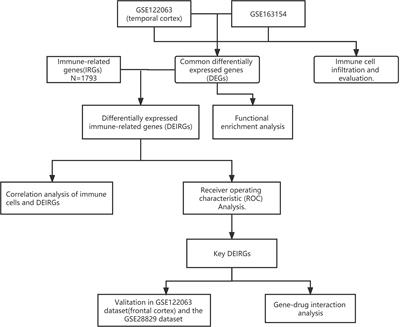 Identification of potential drug targets for vascular dementia and carotid plaques by analyzing underlying molecular signatures shared by them